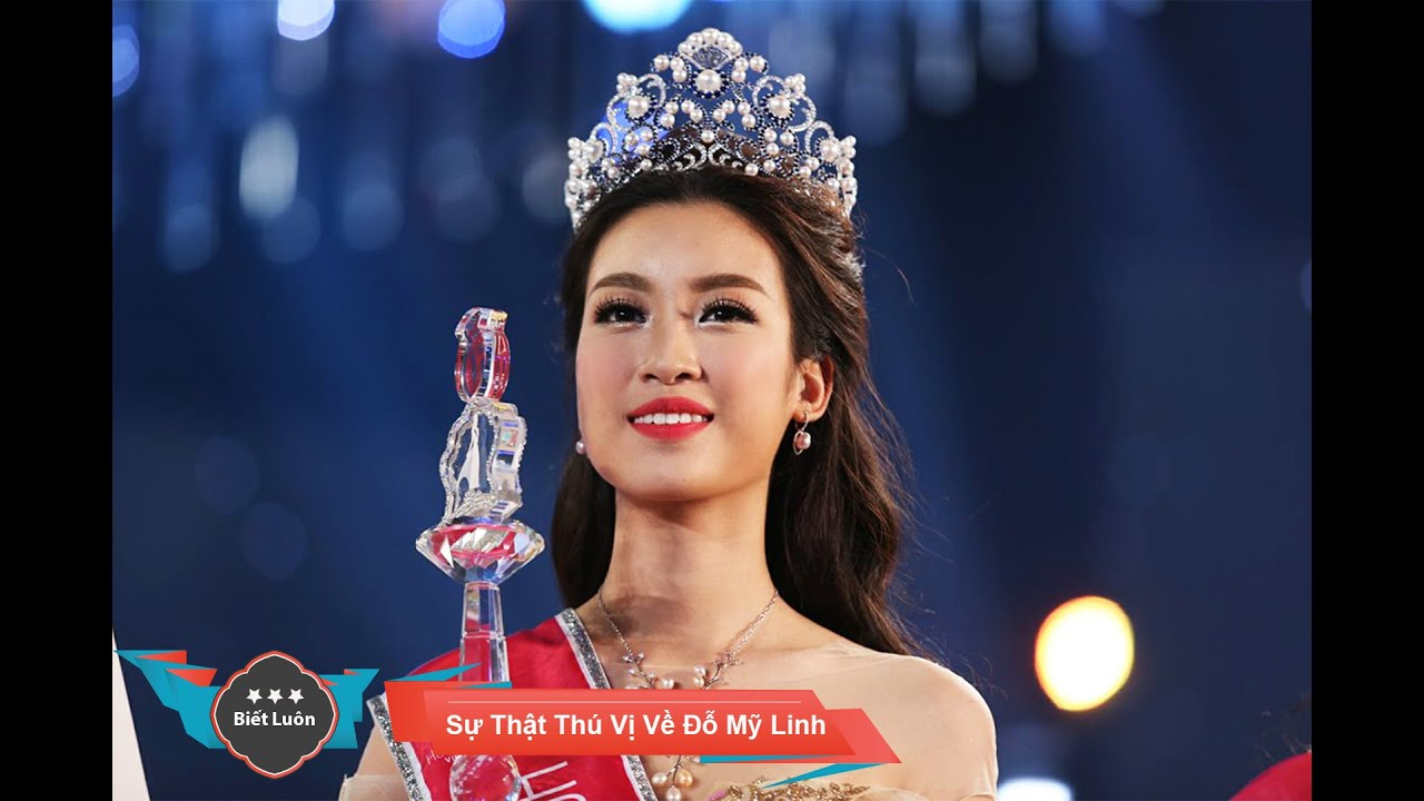 Chính sách đại lý của Hotspot Matrix: Cơ hội hợp tác bền vững trong ngành video ngắn_cách làm video ngắn thu hút người xem