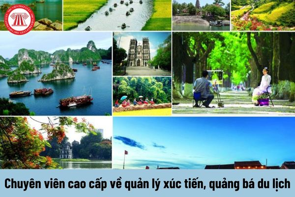 Hotspot Matrix - Giải Pháp Toàn Diện Cho Truyền Thông Số_cách làm video ngắn thu hút người xem