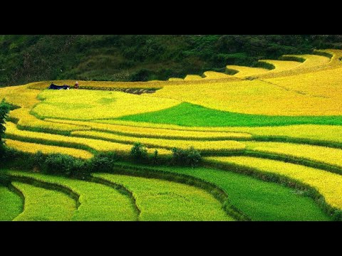 Freelancer Và Cơ Hội Kiếm Tiền Từ Nền Tảng Hotspot Matrix_Khóa học edit video cho người mới bắt đầu