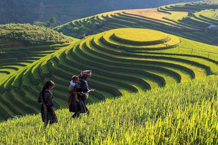 Cách Khởi Nghiệp Kiếm Tiền Bán Thời Gian Dành Cho Người Mới