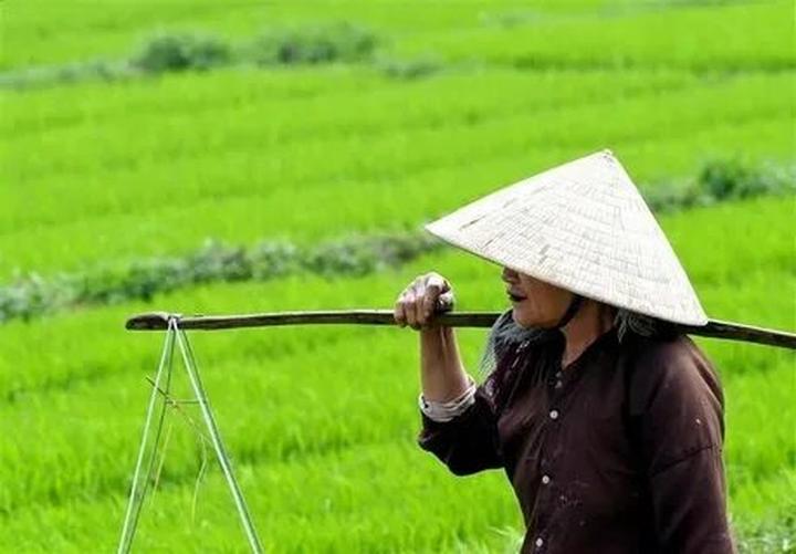Sự Bùng Nổ Của Video Ngắn và Trí Tuệ Nhân Tạo: Vai Trò Thiết Yếu Của Đào Tạo Kỹ Năng Sáng Tạo Nội Dung_Khóa học biên tập video